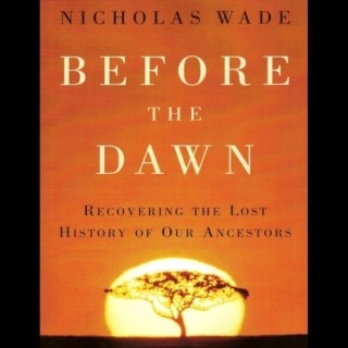 Before the Dawn (used)
